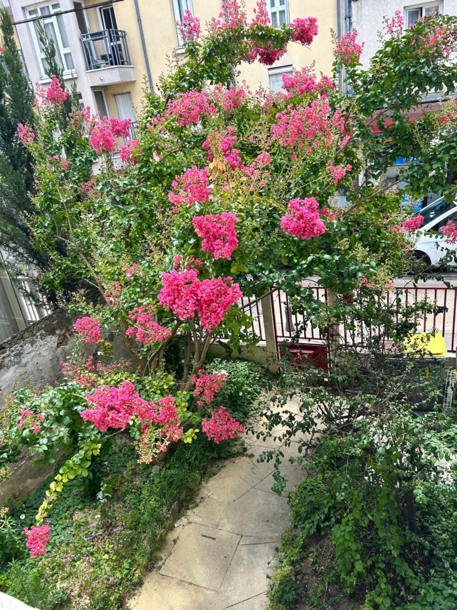 F3 Au Grenier D'Une Maison Маси Екстериор снимка