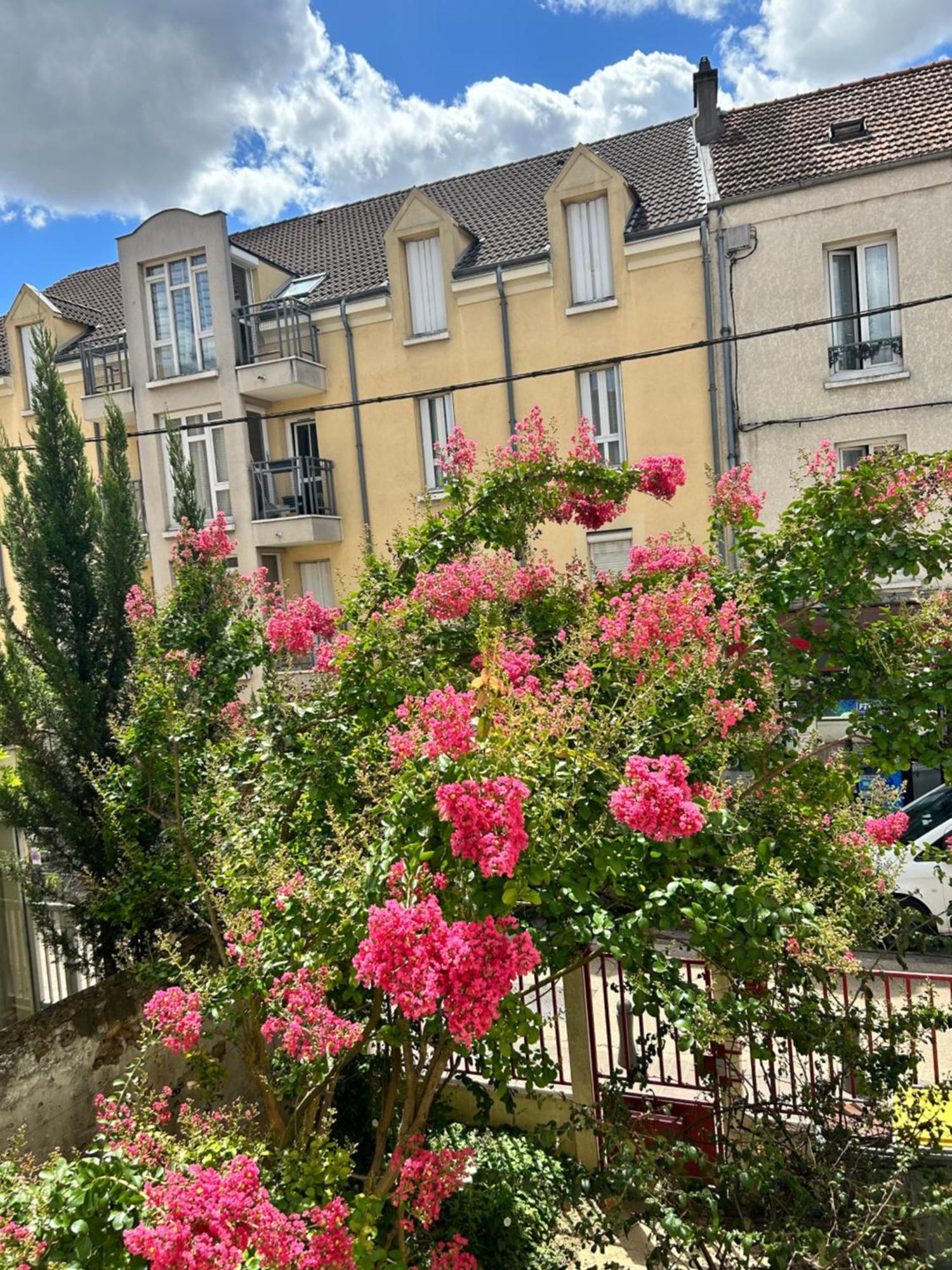 F3 Au Grenier D'Une Maison Маси Екстериор снимка